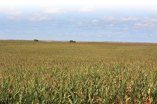 Property photo 13 - LAND AUCTION, 3255+/- Acres offered in 13 Tracts